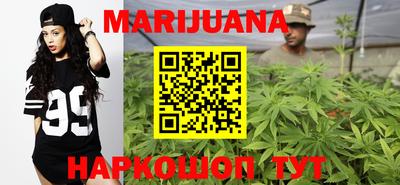 спиды Боровичи