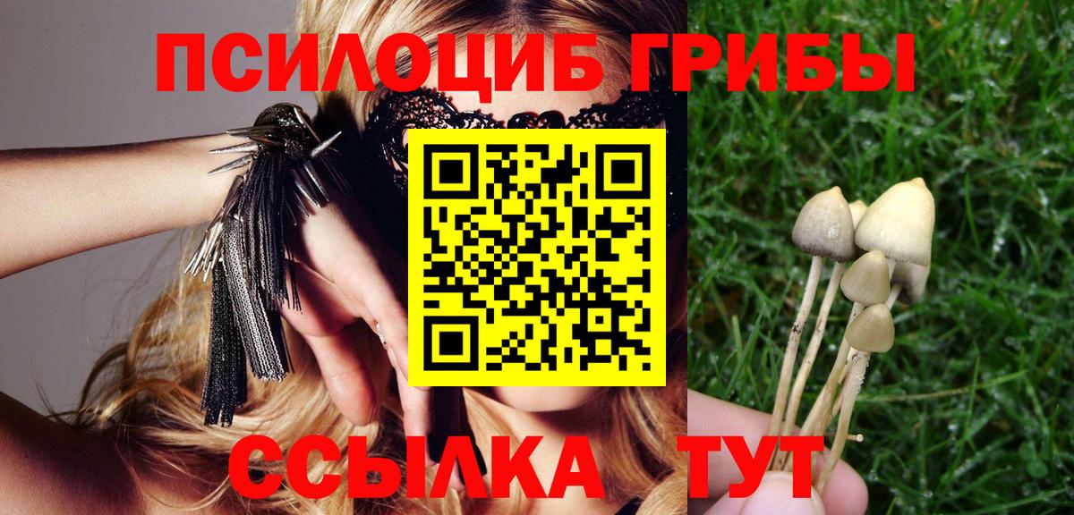Псилоцибиновые грибы мухоморы  Вход с VPN  Галлюциногенные грибы Psilocybine cubensis  Железноводск 